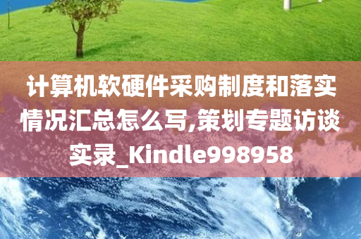 计算机软硬件采购制度和落实情况汇总怎么写,策划专题访谈实录_Kindle998958