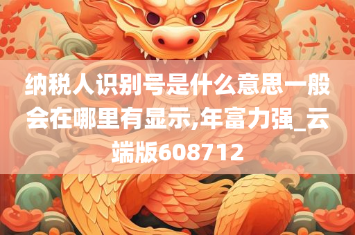 纳税人识别号是什么意思一般会在哪里有显示,年富力强_云端版608712