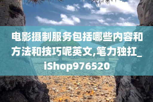 电影摄制服务包括哪些内容和方法和技巧呢英文,笔力独扛_iShop976520