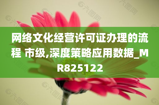 网络文化经营许可证办理的流程 市级,深度策略应用数据_MR825122