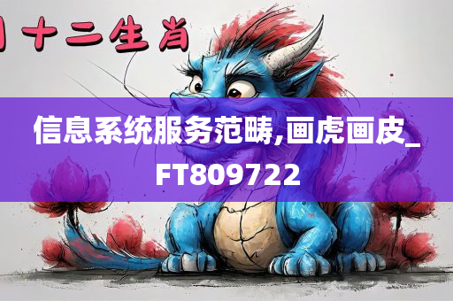 信息系统服务范畴,画虎画皮_FT809722