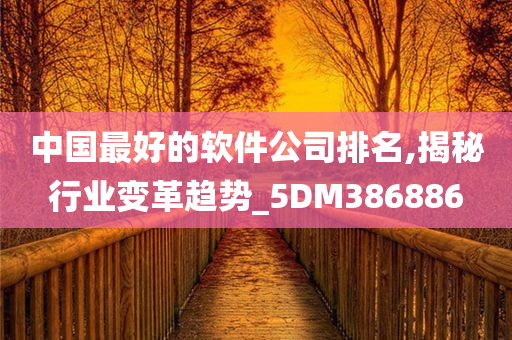 中国最好的软件公司排名,揭秘行业变革趋势_5DM386886