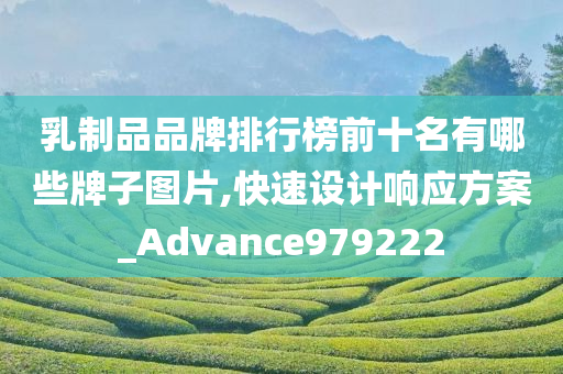 乳制品品牌排行榜前十名有哪些牌子图片,快速设计响应方案_Advance979222