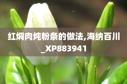 红焖肉炖粉条的做法,海纳百川_XP883941