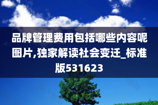 品牌管理费用包括哪些内容呢图片,独家解读社会变迁_标准版531623