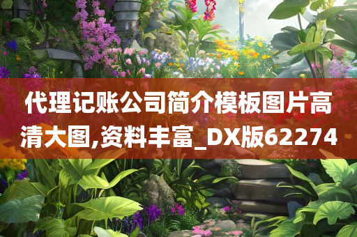 代理记账公司简介模板图片高清大图,资料丰富_DX版622740