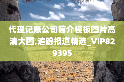 代理记账公司简介模板图片高清大图,追踪报道精选_VIP829395