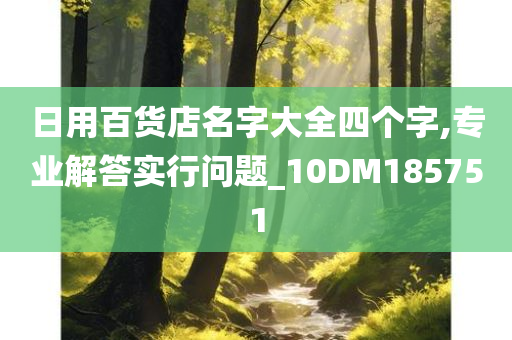 日用百货店名字大全四个字,专业解答实行问题_10DM185751