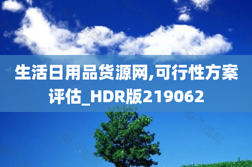 生活日用品货源网,可行性方案评估_HDR版219062