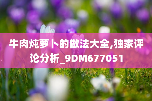 牛肉炖萝卜的做法大全,独家评论分析_9DM677051