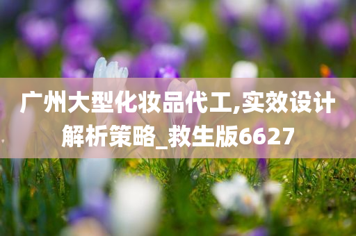 广州大型化妆品代工,实效设计解析策略_救生版6627