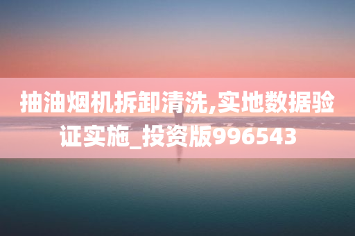 抽油烟机拆卸清洗,实地数据验证实施_投资版996543