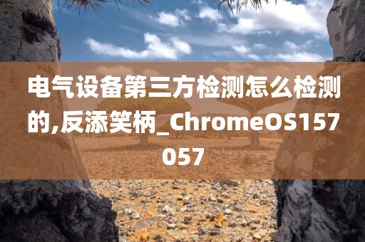 电气设备第三方检测怎么检测的,反添笑柄_ChromeOS157057