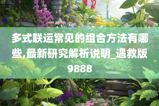 多式联运常见的组合方法有哪些,最新研究解析说明_遇救版9888