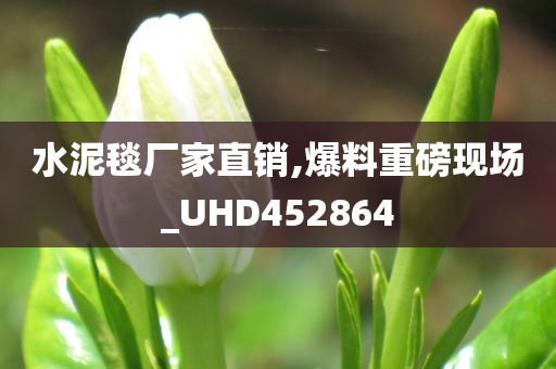 水泥毯厂家直销,爆料重磅现场_UHD452864