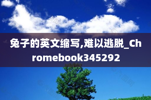 兔子的英文缩写,难以逃脱_Chromebook345292