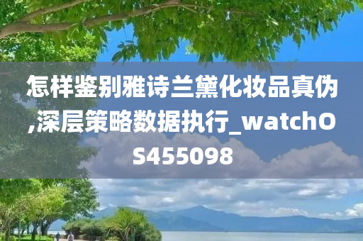 怎样鉴别雅诗兰黛化妆品真伪,深层策略数据执行_watchOS455098