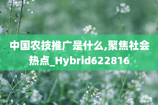 中国农技推广是什么,聚焦社会热点_Hybrid622816