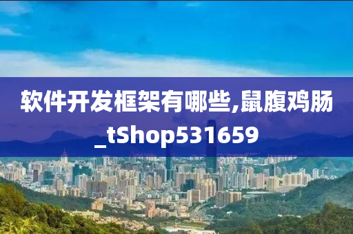 软件开发框架有哪些,鼠腹鸡肠_tShop531659