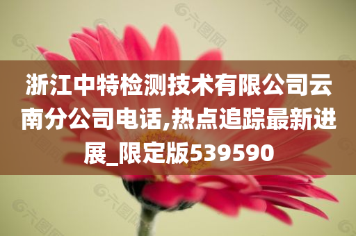 浙江中特检测技术有限公司云南分公司电话,热点追踪最新进展_限定版539590