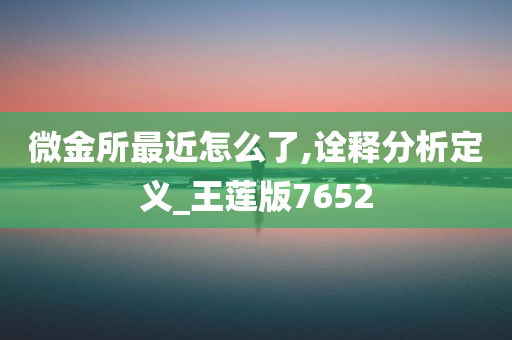 微金所最近怎么了,诠释分析定义_王莲版7652