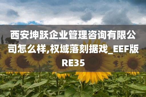 西安坤跃企业管理咨询有限公司怎么样,权域落刻据戏_EEF版RE35