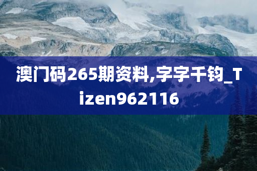 澳门码265期资料,字字千钧_Tizen962116