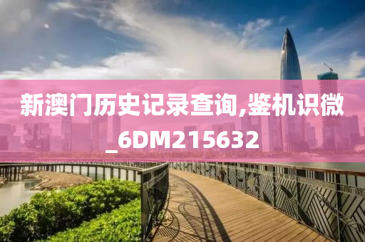 新澳门历史记录查询,鉴机识微_6DM215632