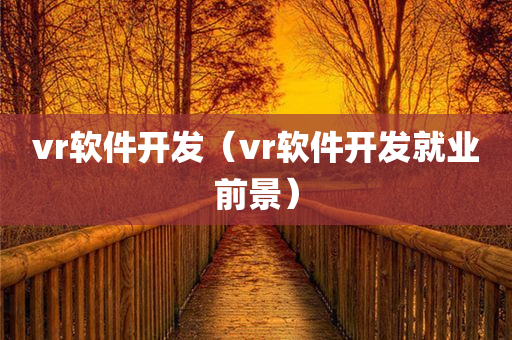 vr软件开发（vr软件开发就业前景）