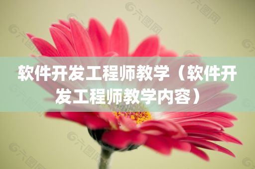 软件开发工程师教学（软件开发工程师教学内容）