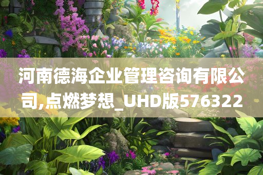 河南德海企业管理咨询有限公司,点燃梦想_UHD版576322