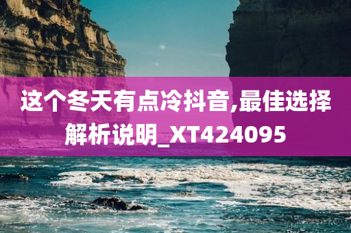 这个冬天有点冷抖音,最佳选择解析说明_XT424095