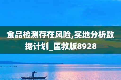 食品检测存在风险,实地分析数据计划_匡救版8928