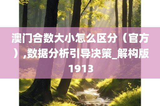 澳门合数大小怎么区分（官方）,数据分析引导决策_解构版1913