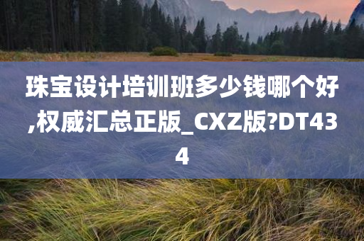 珠宝设计培训班多少钱哪个好,权威汇总正版_CXZ版?DT434