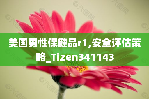 美国男性保健品r1,安全评估策略_Tizen341143