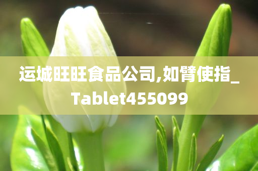 运城旺旺食品公司,如臂使指_Tablet455099