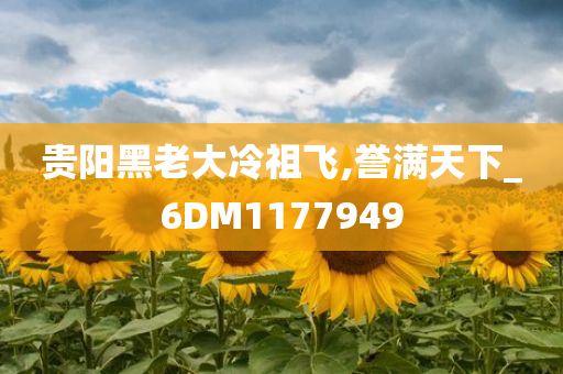 贵阳黑老大冷祖飞,誉满天下_6DM1177949