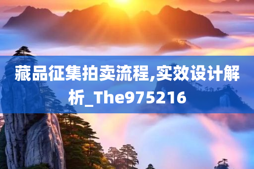 藏品征集拍卖流程,实效设计解析_The975216