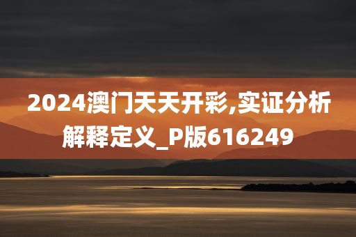 2024澳门天天开彩,实证分析解释定义_P版616249