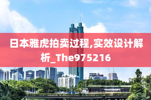 日本雅虎拍卖过程,实效设计解析_The975216