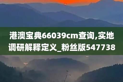 港澳宝典66039cm查询,实地调研解释定义_粉丝版547738