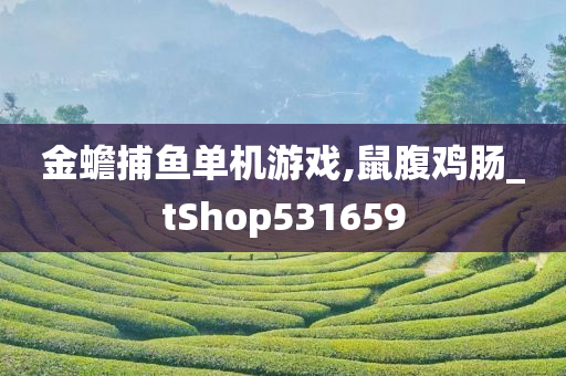 金蟾捕鱼单机游戏,鼠腹鸡肠_tShop531659