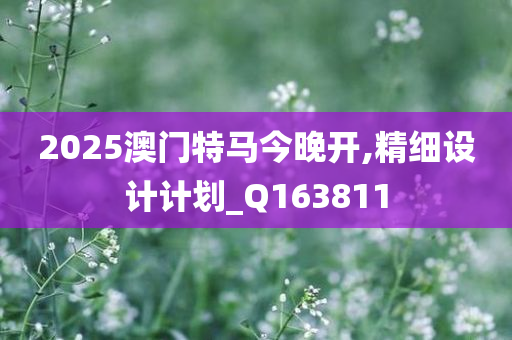 2025澳门特马今晚开,精细设计计划_Q163811