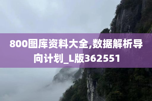 800图库资料大全,数据解析导向计划_L版362551