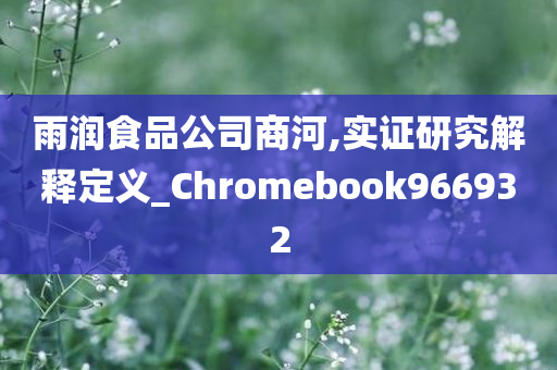 雨润食品公司商河,实证研究解释定义_Chromebook966932