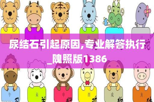 尿结石引起原因,专业解答执行_隗照版1386