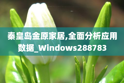 秦皇岛金原家居,全面分析应用数据_Windows288783