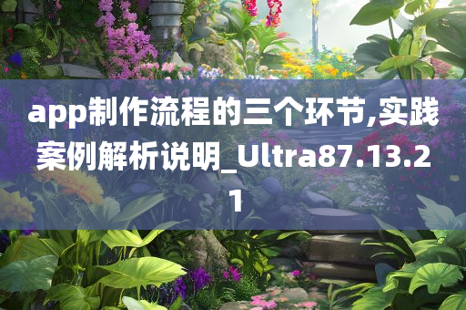 app制作流程的三个环节,实践案例解析说明_Ultra87.13.21