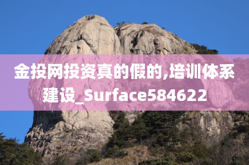 金投网投资真的假的,培训体系建设_Surface584622